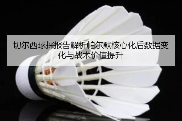 切尔西球探报告解析帕尔默核心化后数据变化与战术价值提升（kaiyun）